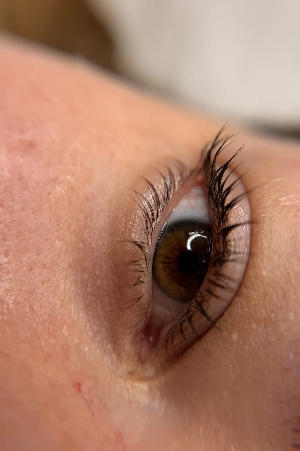 What is in the lash lift starter kit, and why it matters
