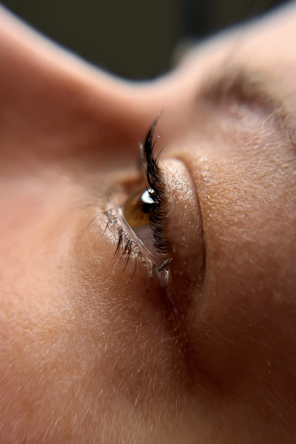 Lash lift or extensions: which should you learn first?