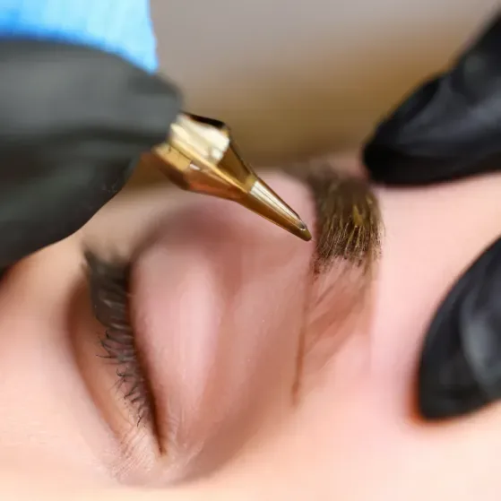 1. BASIC Permanent Makeup Course