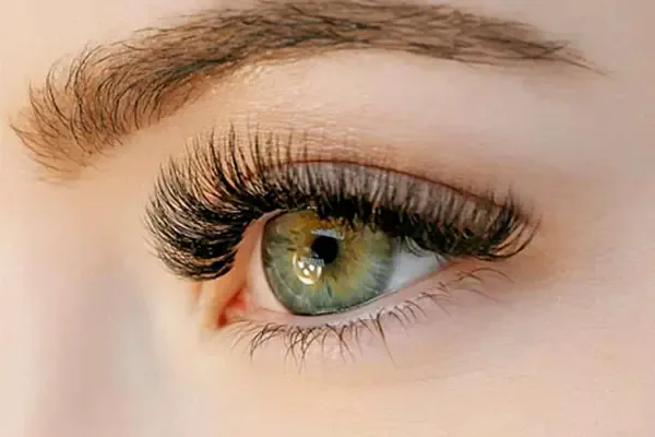 Eyelash extensions and lash lift at ANNAZUR Organic Spa
