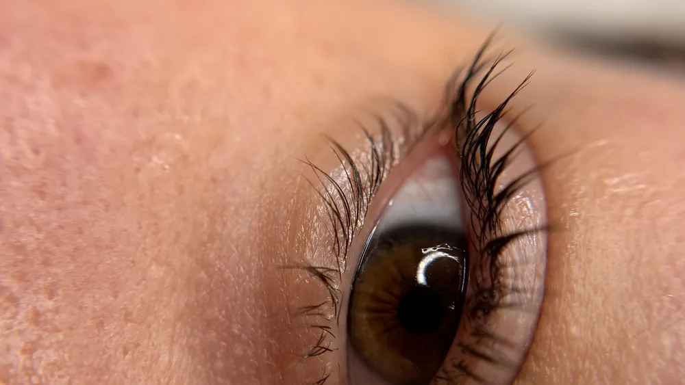 Natural lash curl after a lash lift and tint